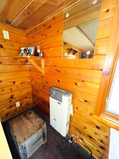 29658 W Mary Lake Drive, Bigfork, MN 56628