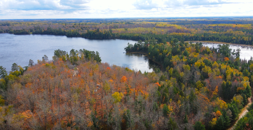29658 W Mary Lake Drive, Bigfork, MN 56628