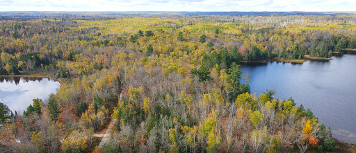 29658 W Mary Lake Drive, Bigfork, MN 56628