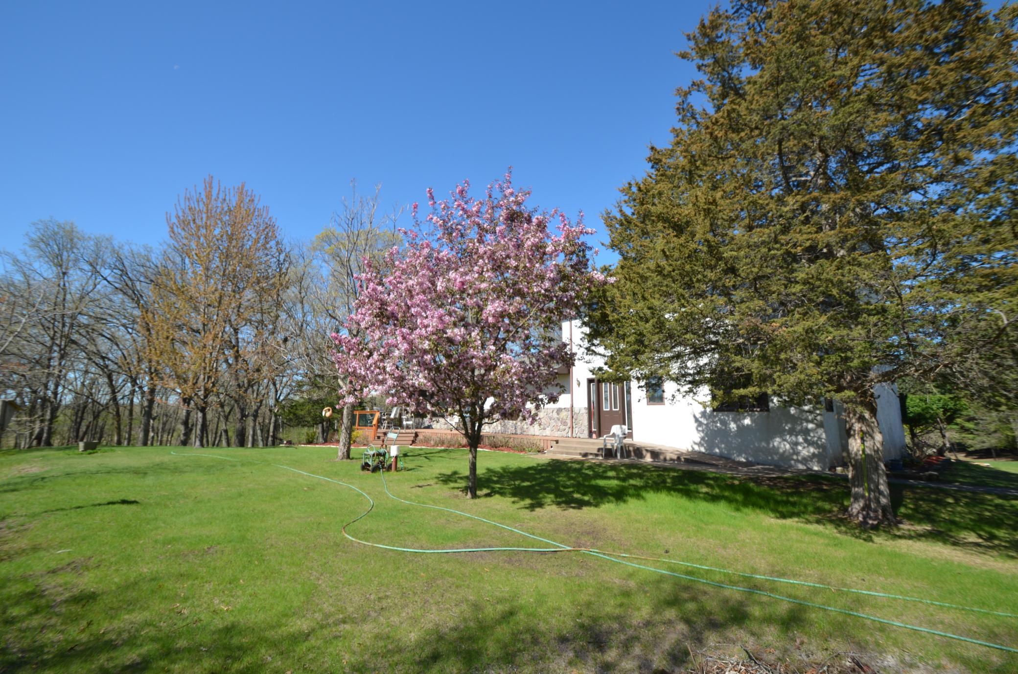 DSC_0063.JPG