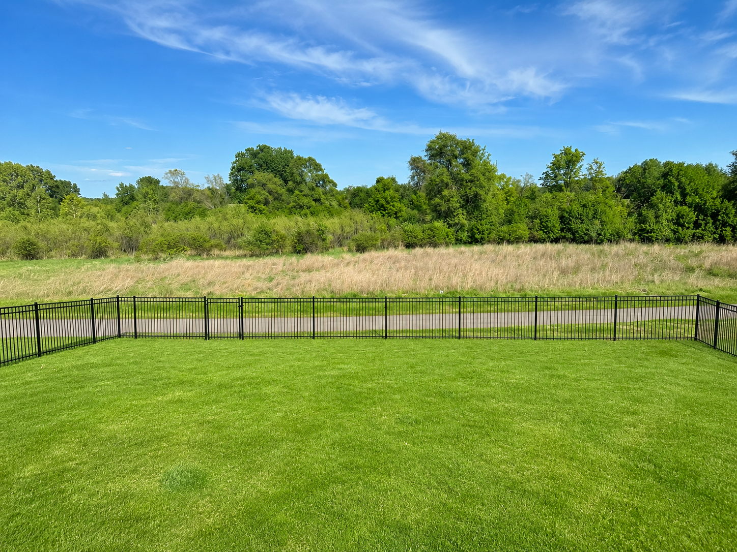 Backyard that is fenced and and backs to a walking path! Great open layout.