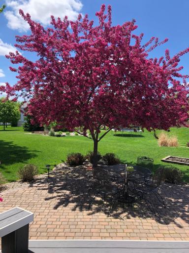 5133 Palmer Place NW, Rochester, MN 55901