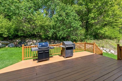 13846 Guild Avenue, Saint Paul, MN 55124