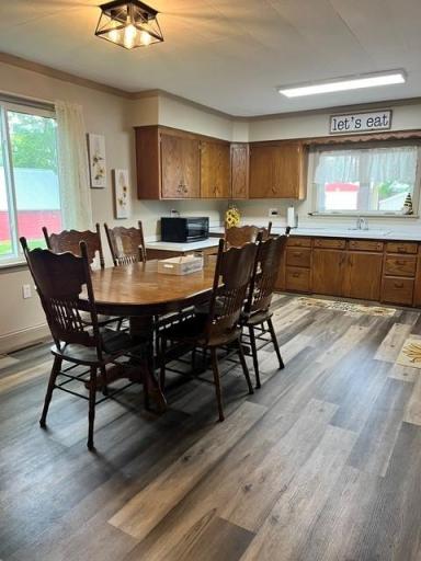 19443 560th Avenue, Austin, MN 55912