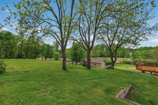 Nice mature trees and lots of places to run.