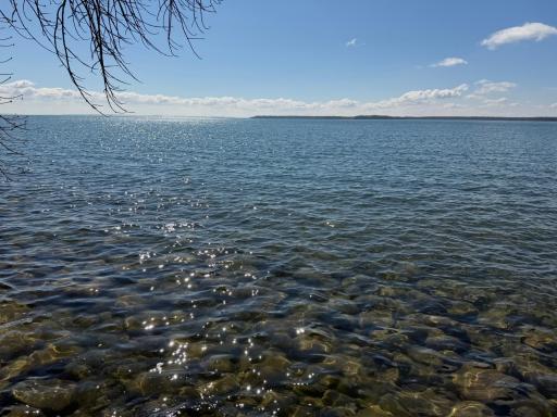 TBD Pine Point Drive, Walker, MN 56484