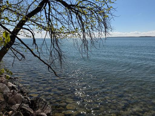 TBD Pine Point Drive, Walker, MN 56484