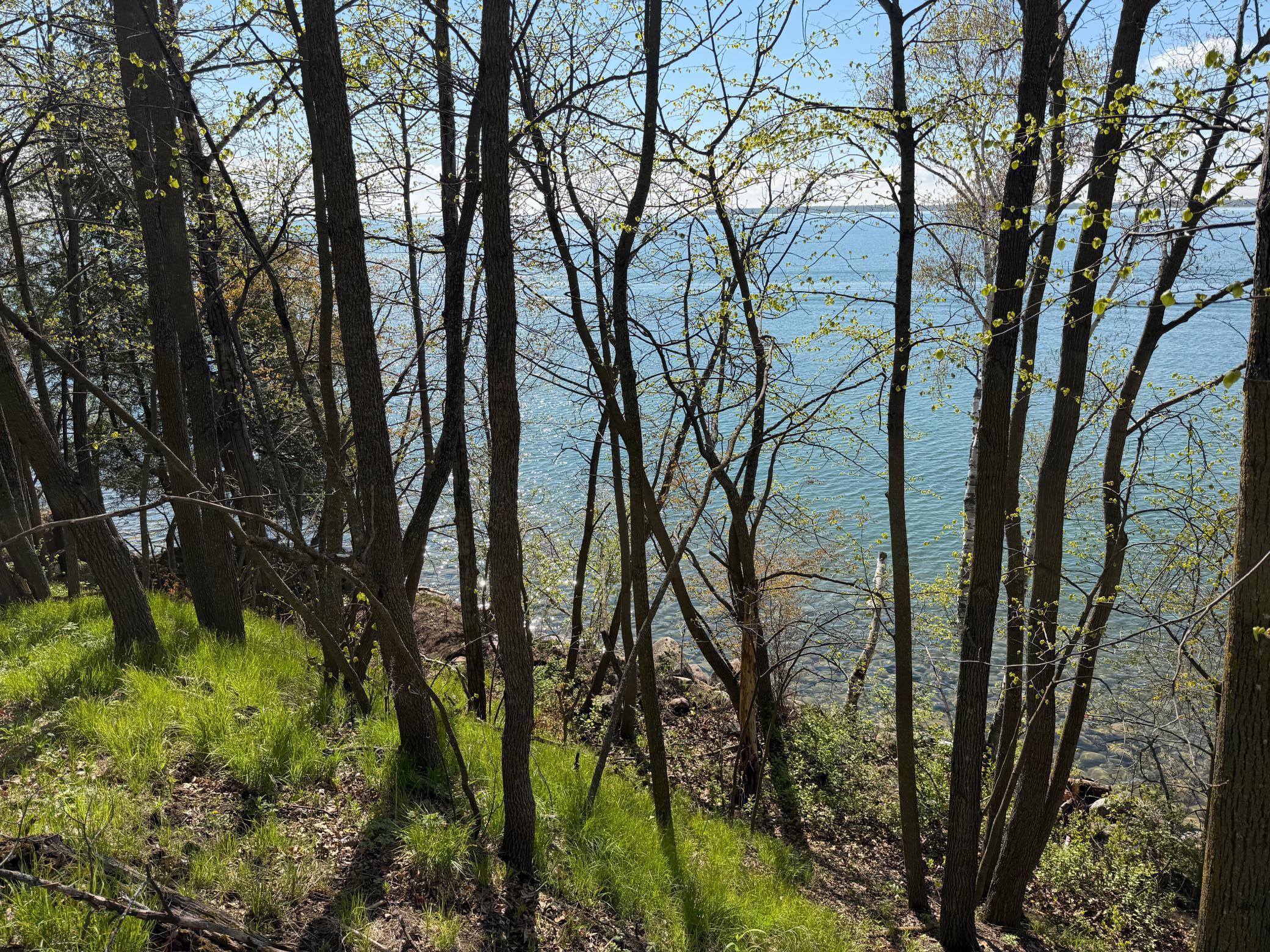 IMG_3575.jpg