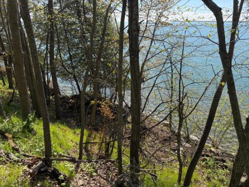 TBD Pine Point Drive, Walker, MN 56484
