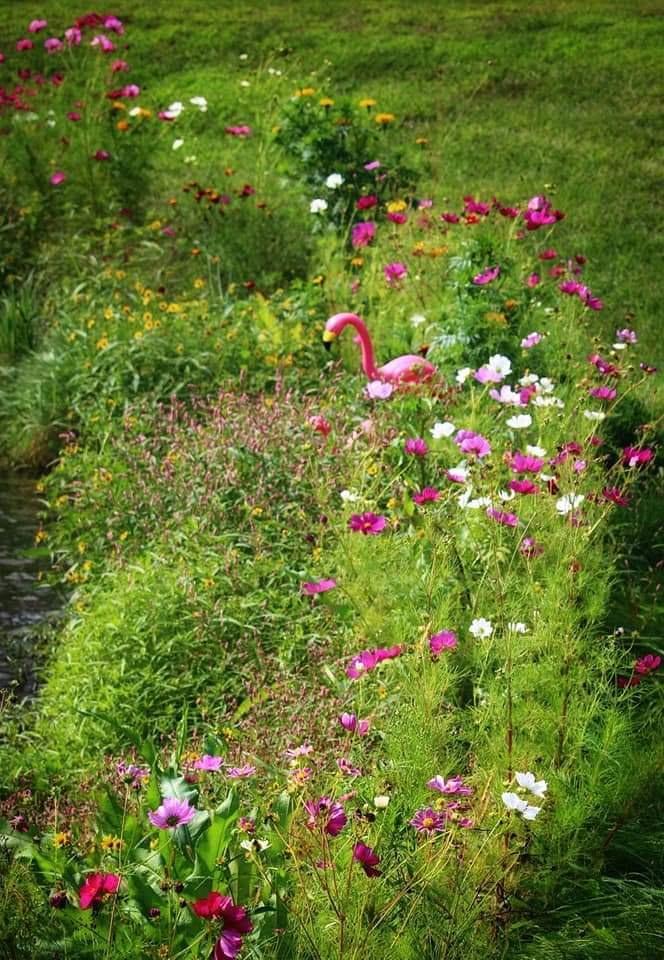 Landscaping by pond