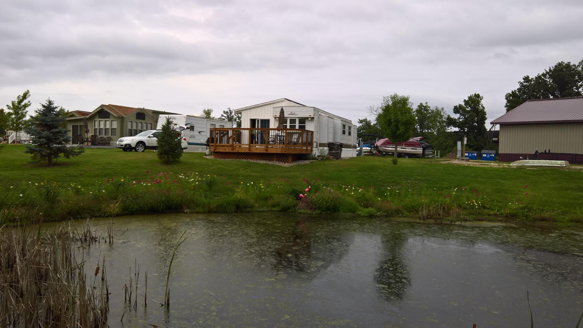 Overlooking the pond