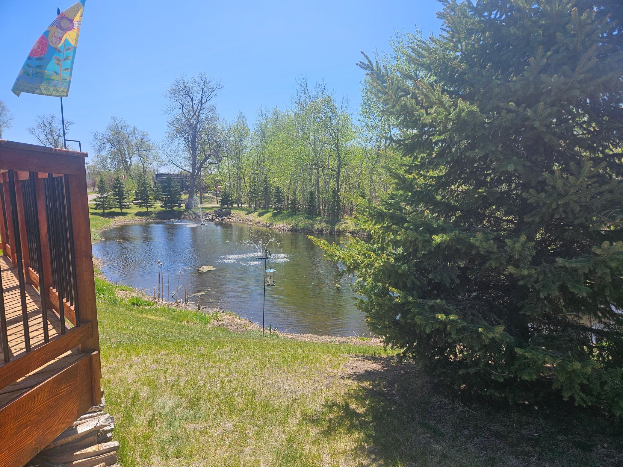 Serinity of the pond