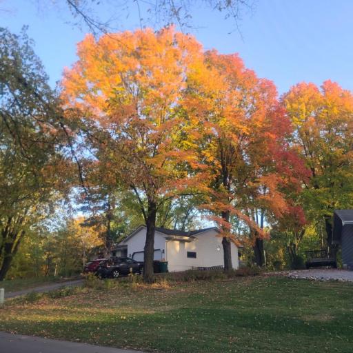 930 Dakota Avenue, Long Lake, MN 55356