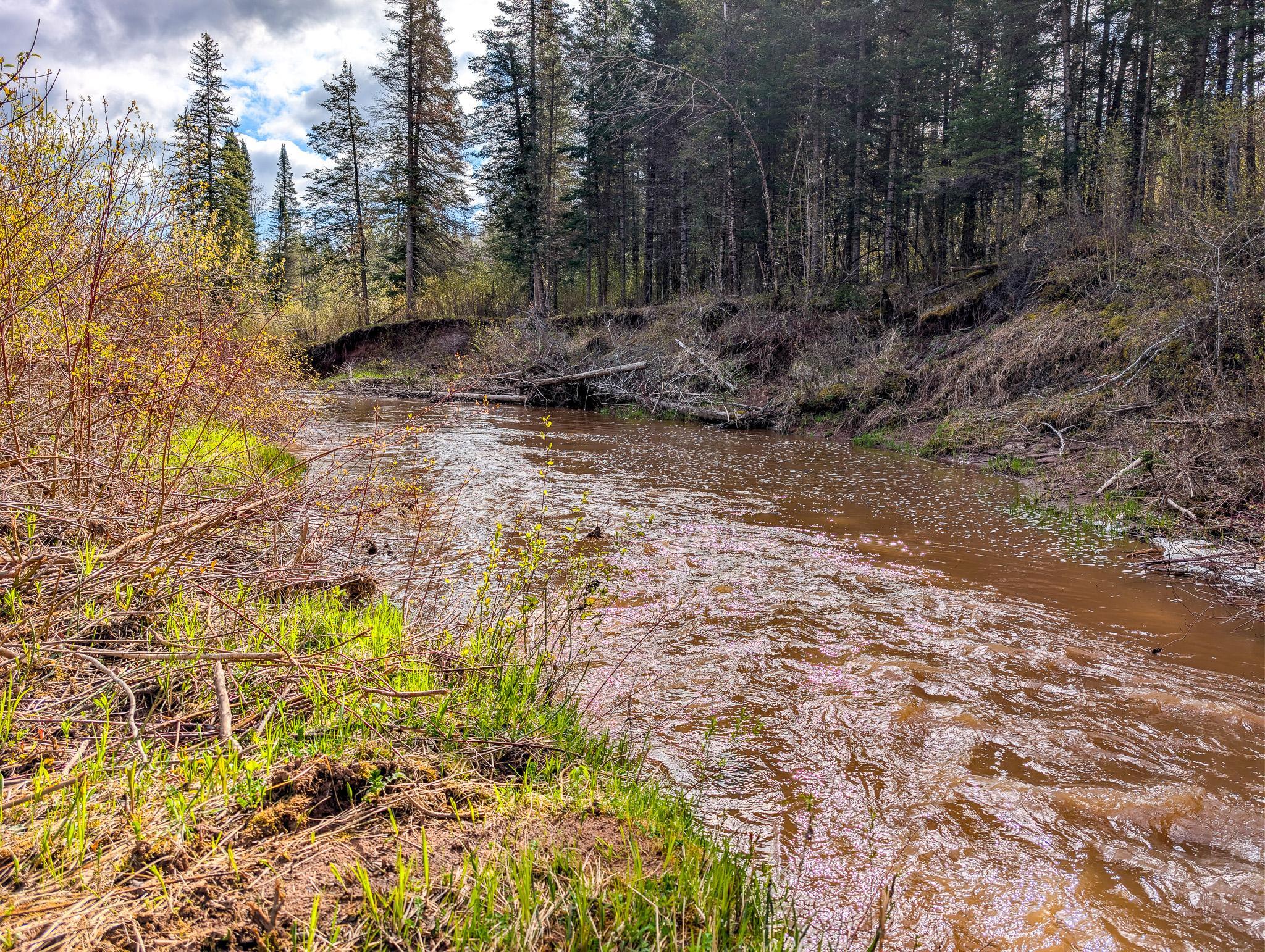 PXL_20260520_135416597.RAW-01.jpg