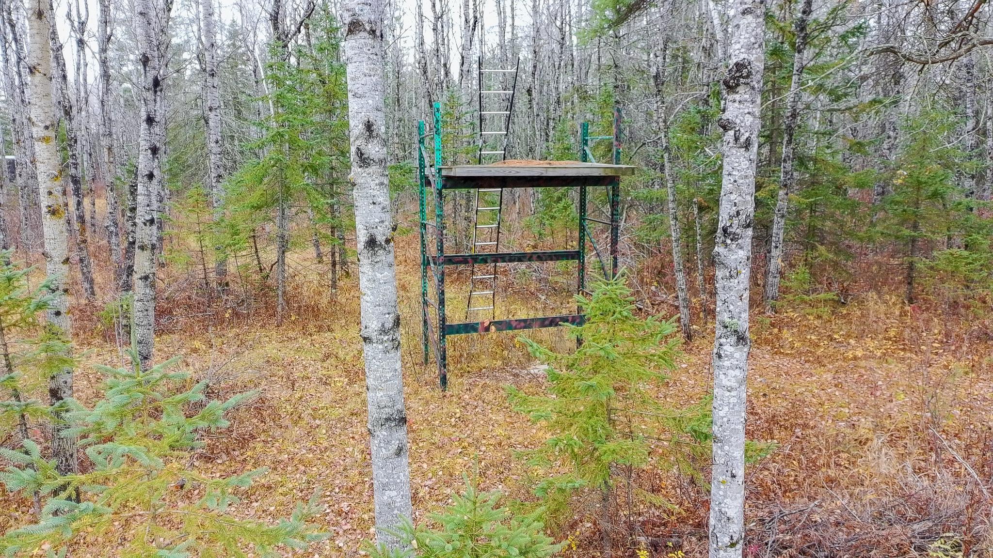 PTSC_0211.jpg