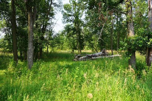 7241 US Highway 169, Garrison, MN 56450