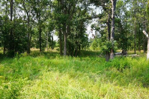 7241 US Highway 169, Garrison, MN 56450