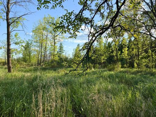 7241 US Highway 169, Garrison, MN 56450
