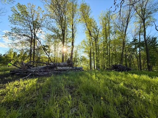 7241 US Highway 169, Garrison, MN 56450