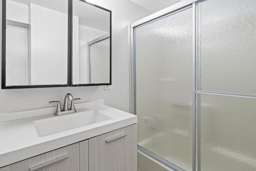 Lower level full bath