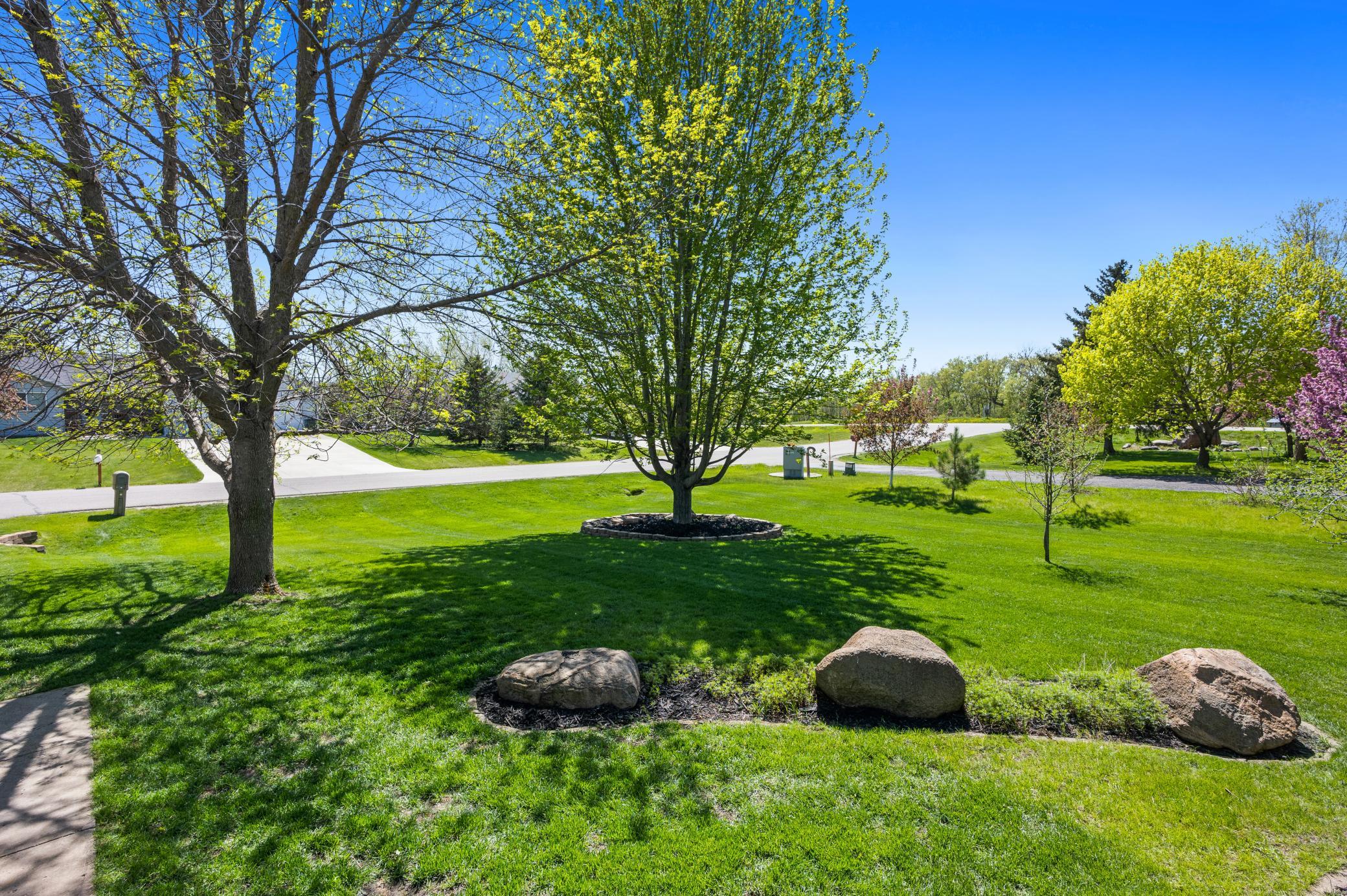 Front Yard