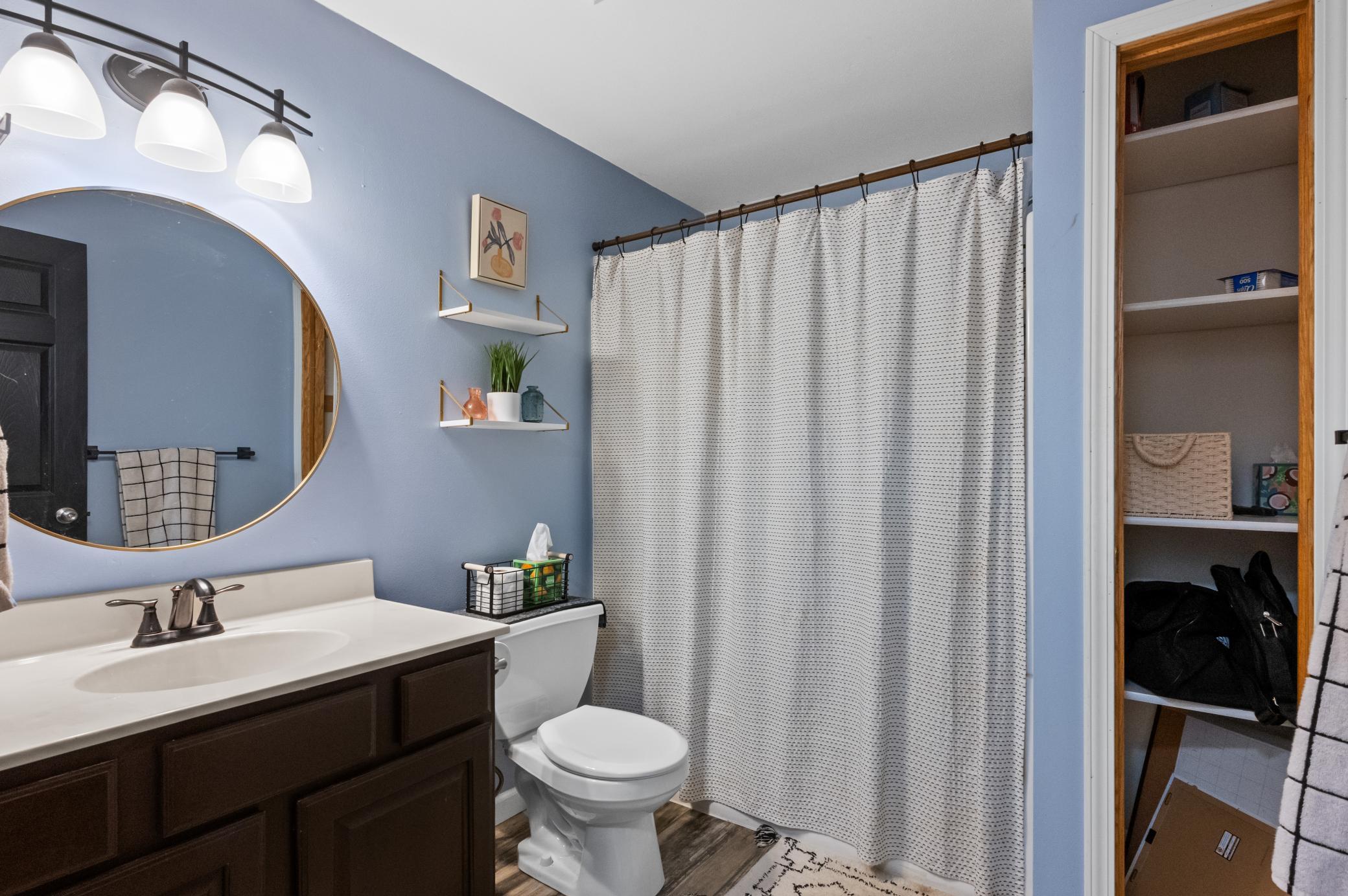 Lower Level Bathroom