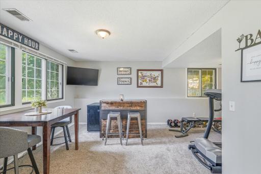 Lower level family room/entertainment area.