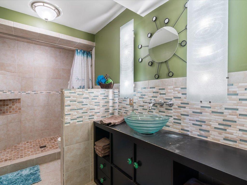 Lower level bathroom