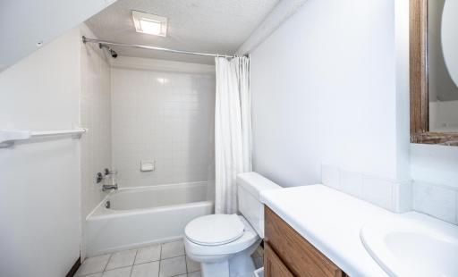 Lower level full bath