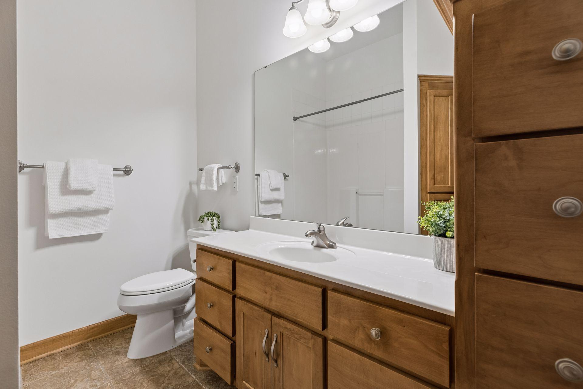 Lower level full bathroom with linen closet and additional cabinetry.