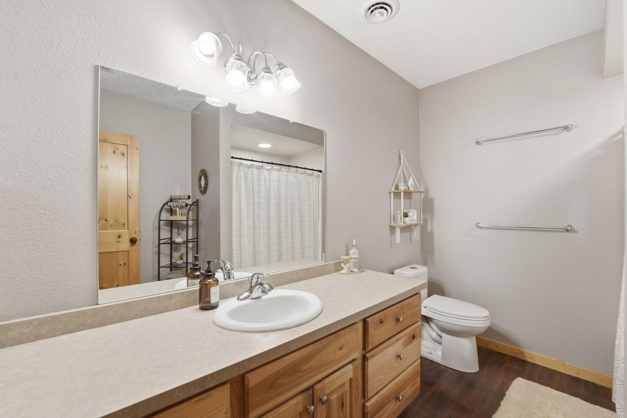 Lower level full bathroom
