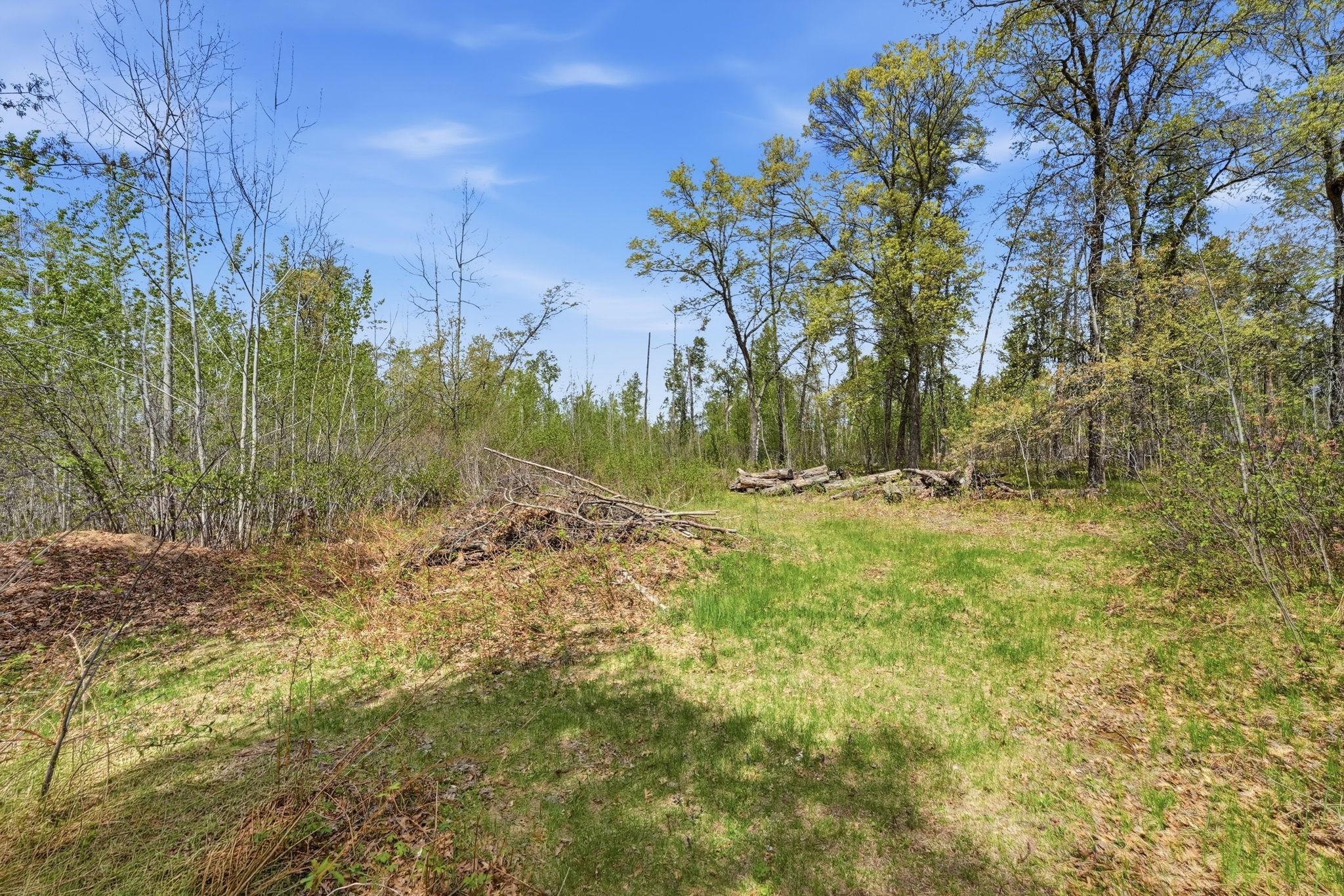 Private Woods surrounds property