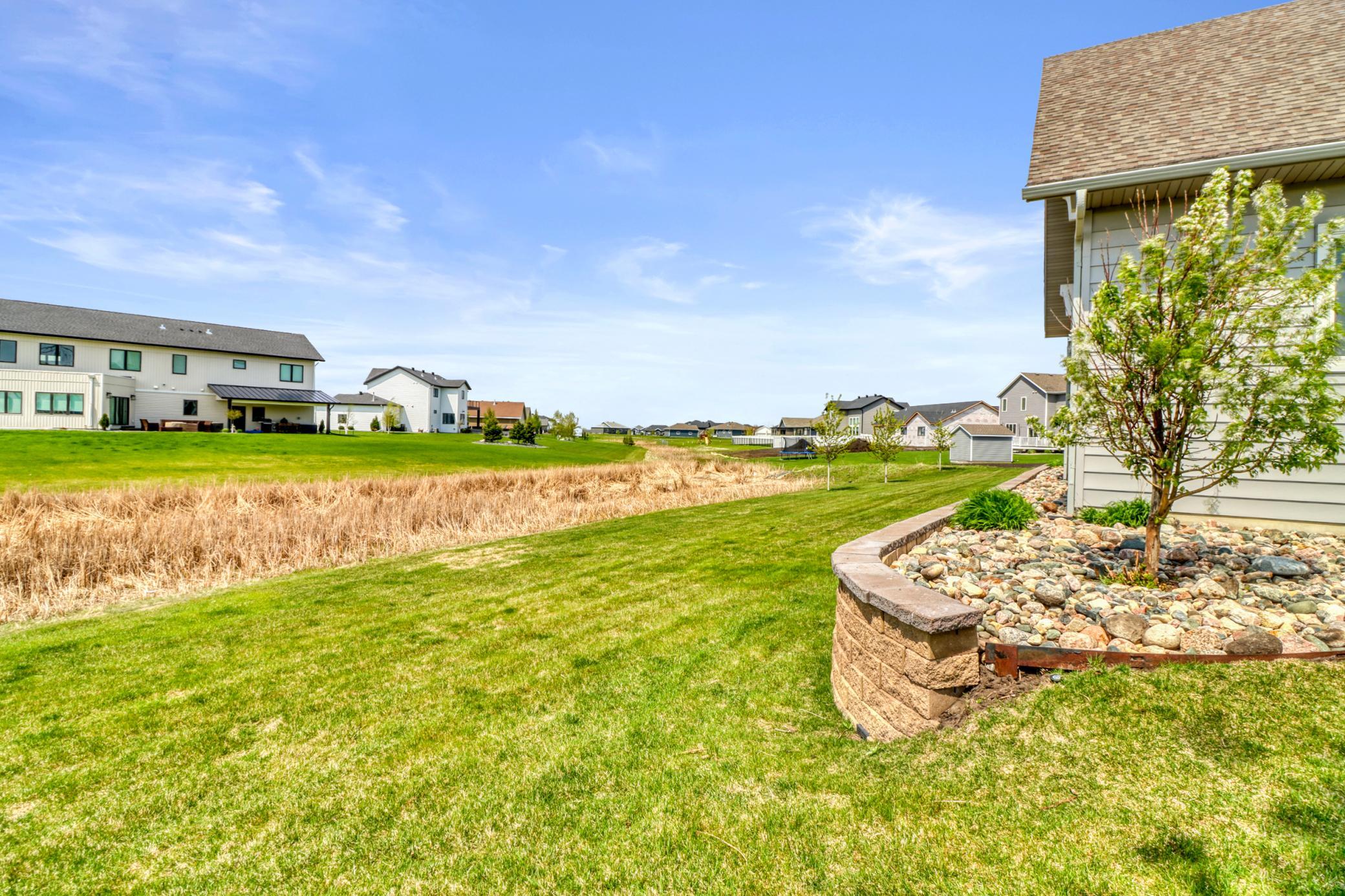 Backyard1_1.JPG