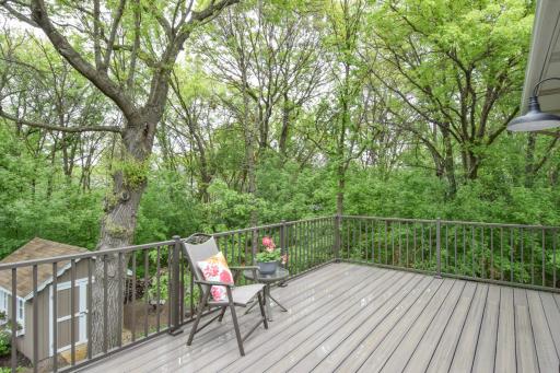 Some Call It Enchanted Forest...You Can Call It Home! Give It Another Week When FULL Foliage Occurs! And... OHHHH That Deck!