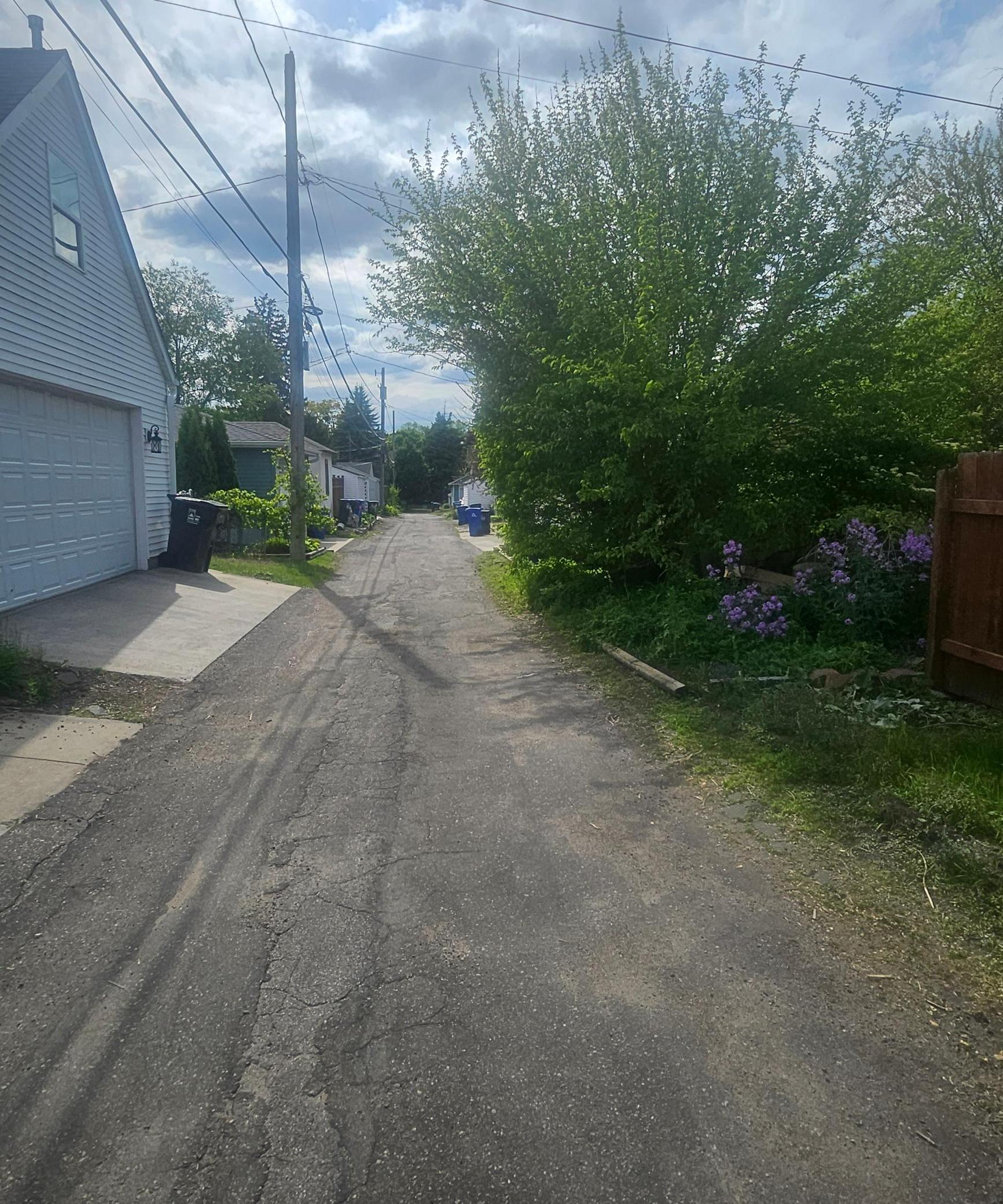 Alley leading to garage