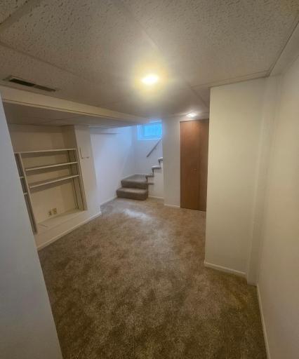 Downstairs family room