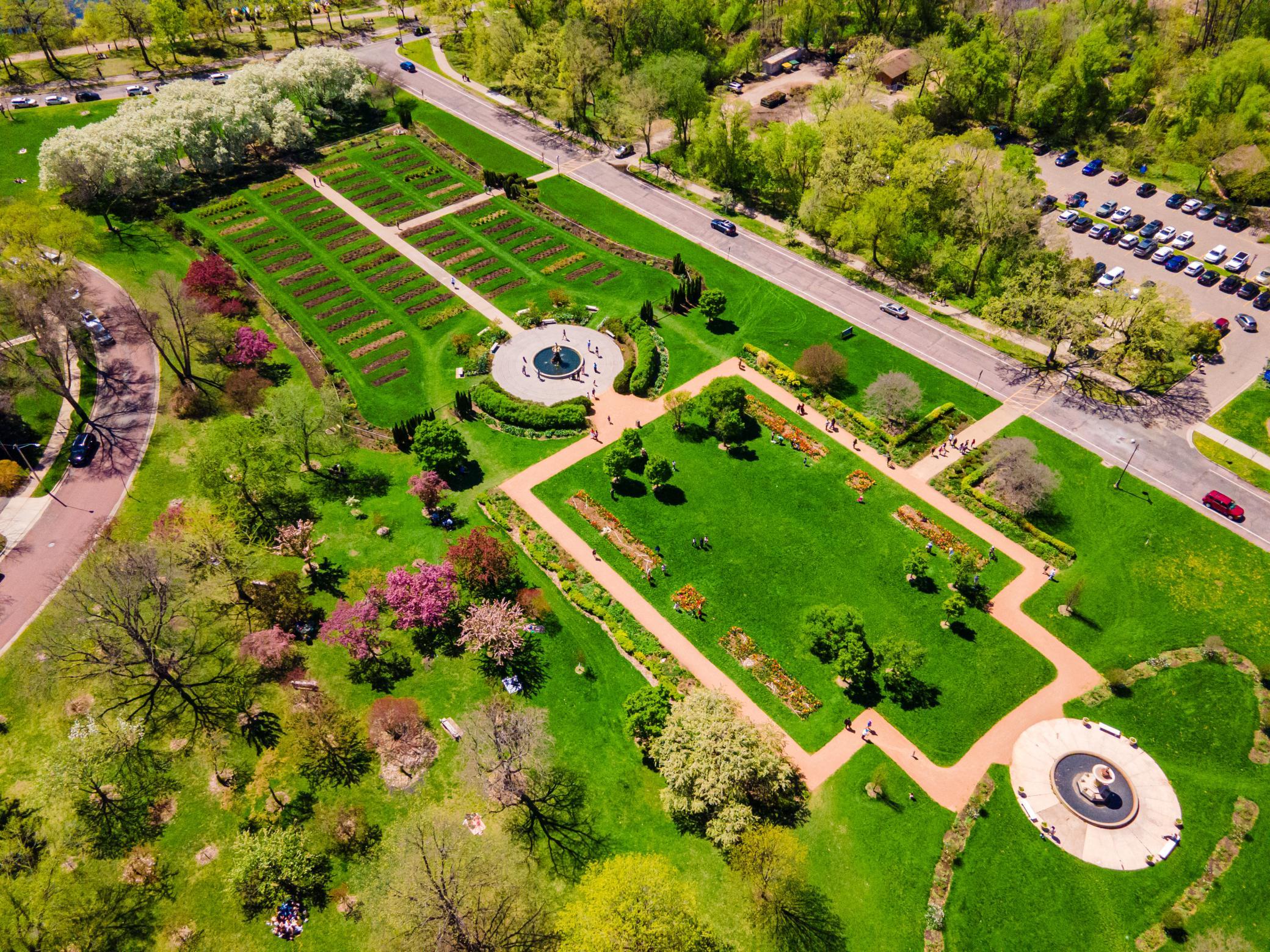DJI_0331.jpg