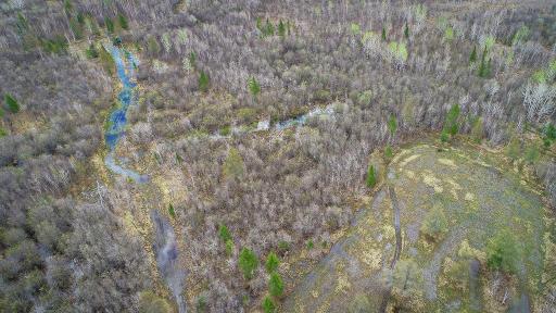 DJI_0009.jpg