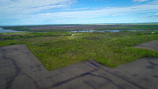 DJI_0012.jpg