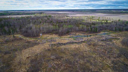 DJI_0001.jpg