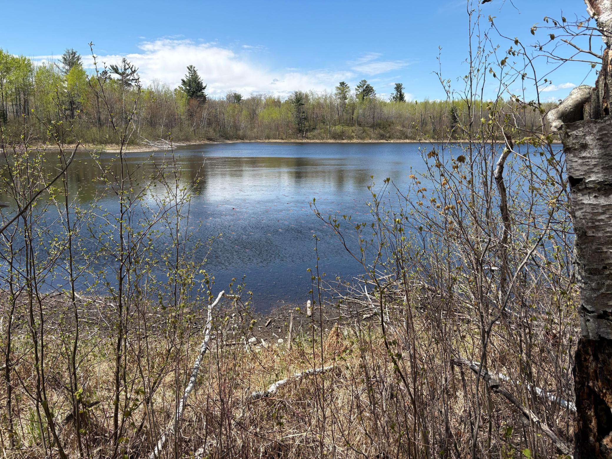 Property photo for 854x W Chub Lake Rd, Carlton, MN 55718