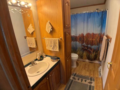 14351 110th Street, Foreston, MN 56330