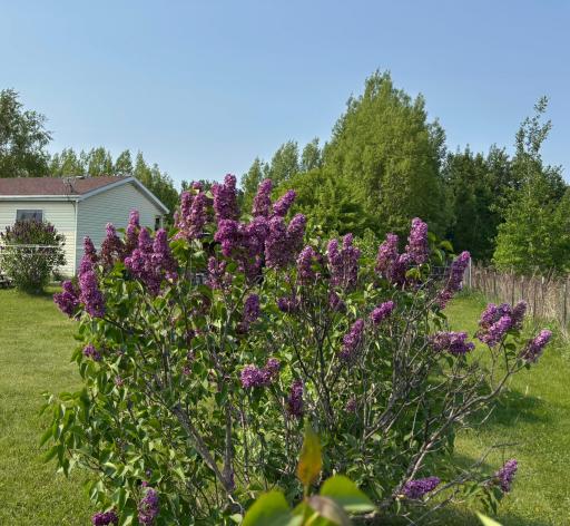 14351 110th Street, Foreston, MN 56330