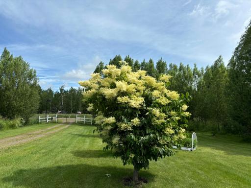 14351 110th Street, Foreston, MN 56330