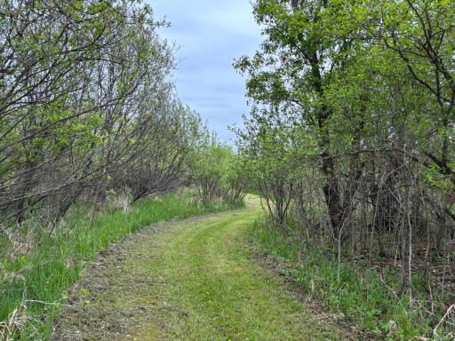 14351 110th Street, Foreston, MN 56330