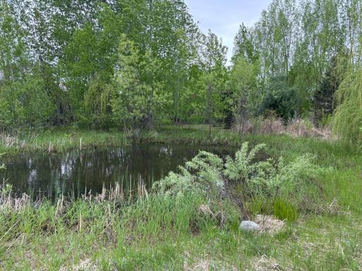 14351 110th Street, Foreston, MN 56330