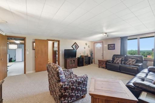 Lower level family room with walkout to the backyard