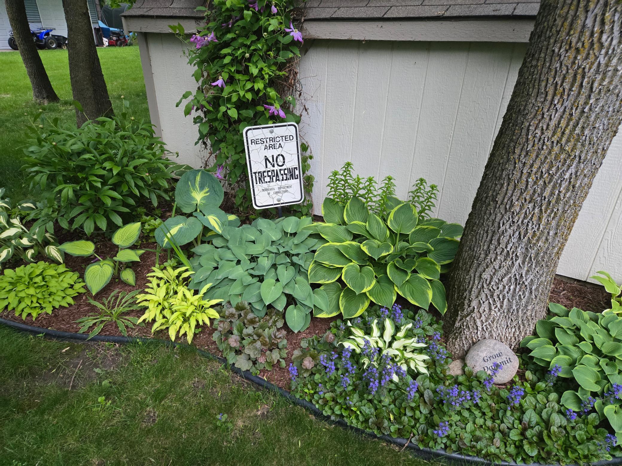 Small tool/garden shed in back yard.