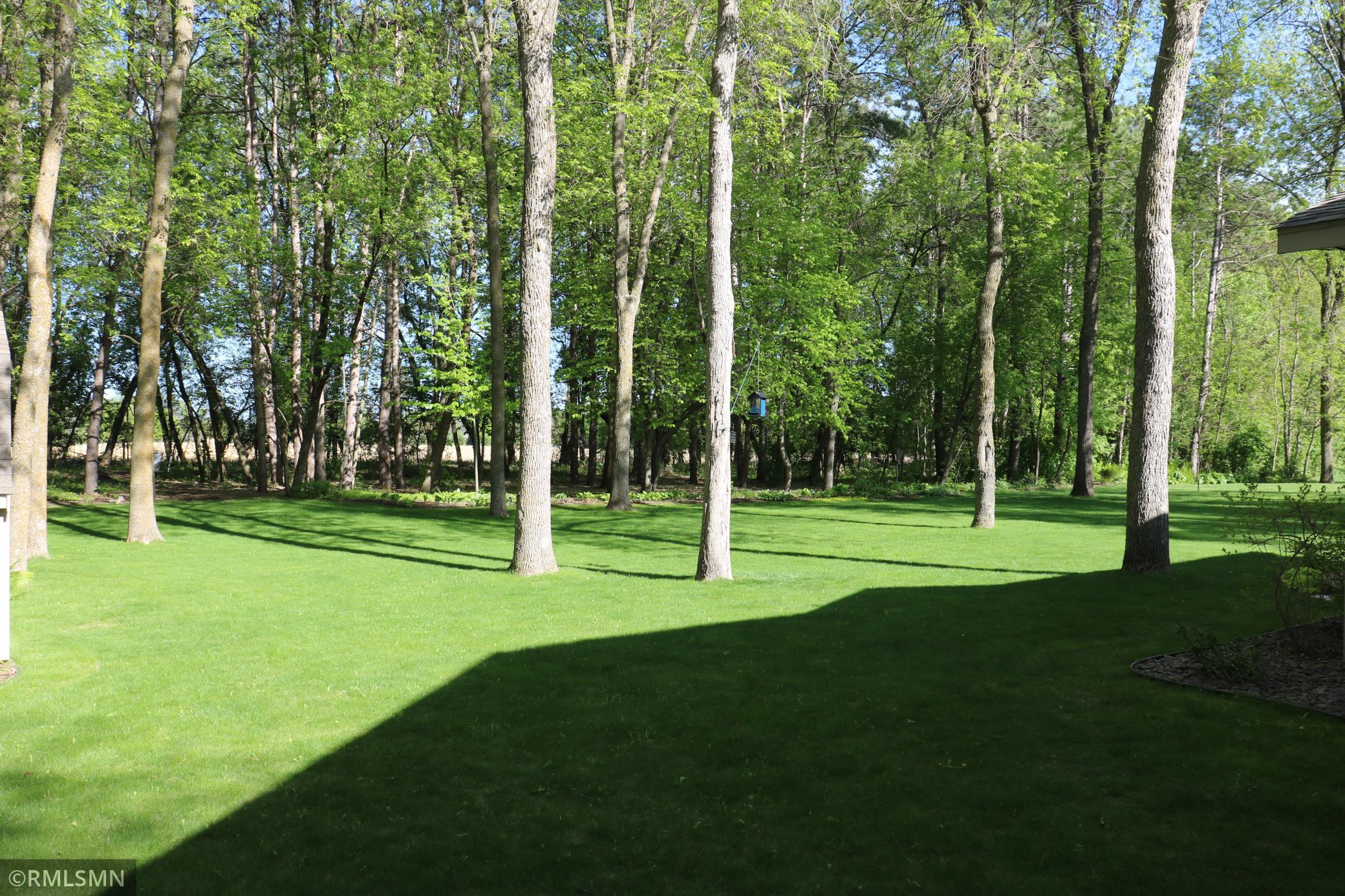 IMG_6527.JPG