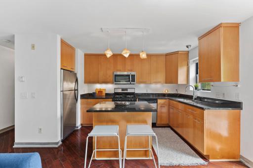 2201 3rd Avenue S, 302, Minneapolis, MN 55404